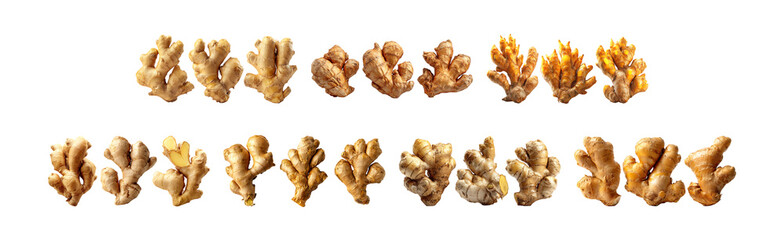 Pack of Exceptional Ginger Root Collection HighResolution Images of Fresh Ginger against transparent Background