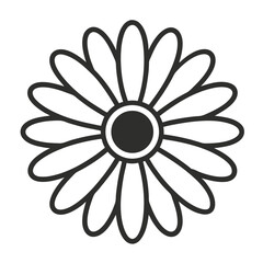Daisy flower vector illustration, line art on white background.