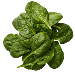 Obraz premium Fresh spinach leaves are vibrant and nutritious, perfect for salads and cooking. Their rich green color and healthy appeal make them great