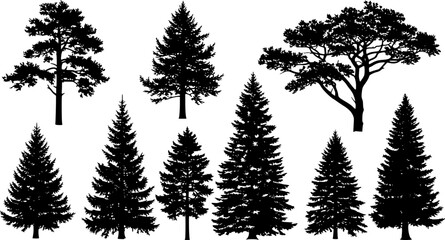 A set of pine trees silhouette vector
