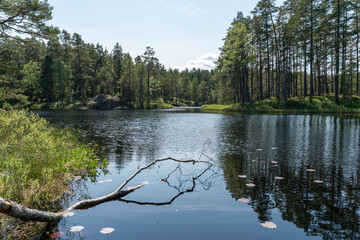 See Stora Trehörningen im Nationalpark Tiveden, Schweden