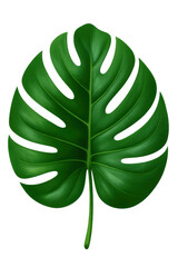 Glossy Monstera Leaf with Natural Holes and Deep Lobes, Cutout Transparent PNG
