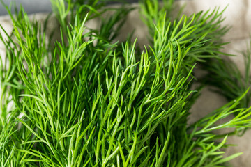 Raw Organic Green Dill Herb