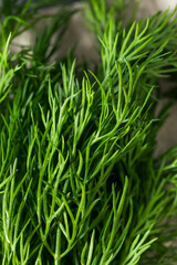 Raw Organic Green Dill Herb