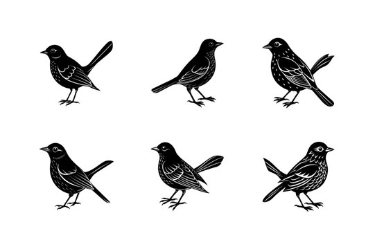 nightingale bird silhouette art illustration