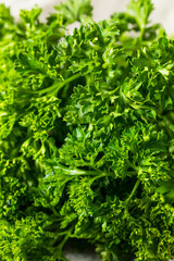 Organic Raw Green Curly Parsley Sprigs