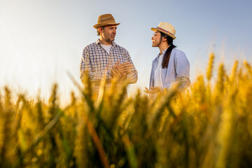 Two Farmers Standing Together in Golden Wheat Field