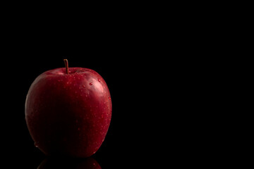 One red apple on a black background.