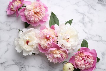 Beautiful peonies and green leaves on white marble table, flat lay