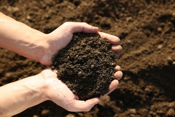 Man holding pile of soil in field, top view