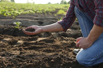 Man holding pile of soil in field, closeup