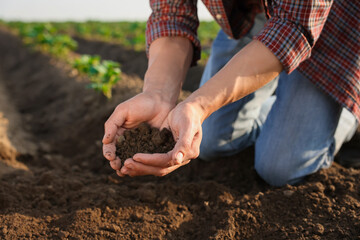 Man holding pile of soil in field, closeup