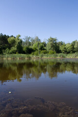 A lake with trees and grass