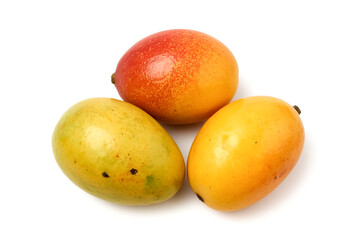A trio of fresh vibrant mangoes are presented against a clean white backdrop The fruits display a spectrum of colors from yellow to deep red suggesting ripeness and sweetness