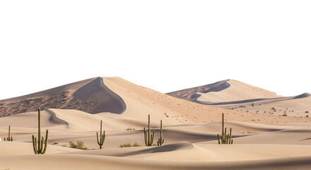 desert landscape