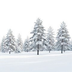 snow covered trees