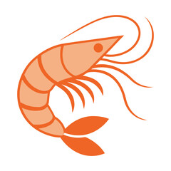 Shrimp vector illustration isolated on white background