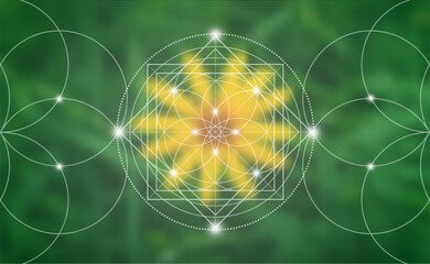 Sacred geometry, Flower of life. Mystical lotus spiritual new age futuristic illustration with transmutation interlocking circles, bright neon sign, symbol of harmony and balance, blurry background