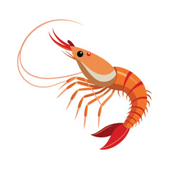 Shrimp vector illustration isolated on white background