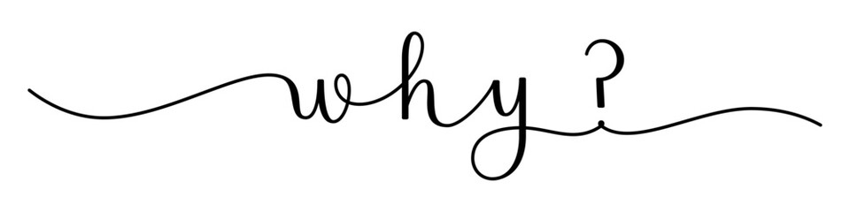 WHY? black vector brush calligraphy banner