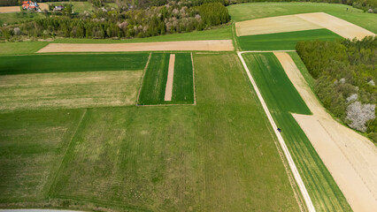 Aerial view of vibrant green fields and cultivated patches under a bright sky. The image features a rural landscape that conveys tranquility and agricultural abundance.