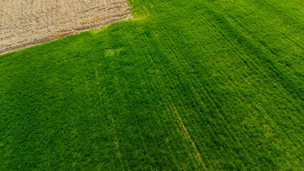 Aerial view of vibrant green grassland contrasted with a harvested field, showcasing the beauty of rural landscapes during daytime, highlighting agricultural practices.