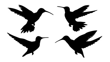Obraz premium humming bird silhouette vector illustration on tranparent background