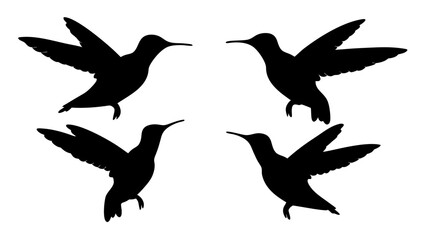 humming bird silhouette vector illustration on tranparent background