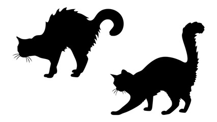Halloween cat black vector silhouette