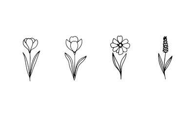 A group of three floral designs with different shapes and flowing stems, great for botanical prints and organic layouts.