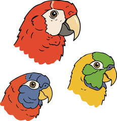 Vibrant Parrot Portraits: Scarlet Macaw, Blue-and-yellow Macaw, and Yellow-chevroned Parakeet