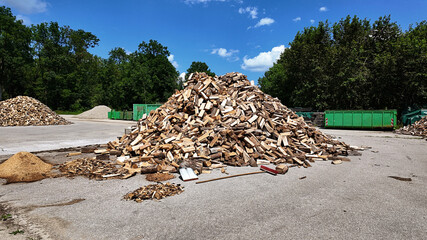 open air lumberyard in the forest:  mounds of sliced tree trunk pieces for firewood