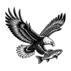 Fototapeta premium Eagle flying catch salmon sketch engraving black and white outline. Scratch board imitation. illustrated in vintage line art style on a white background.