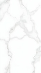 Obraz premium White marble texture with soft grey veining