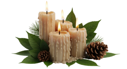 Isolated Christmas Candles and Pine Cones