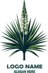 yucca vector white background .