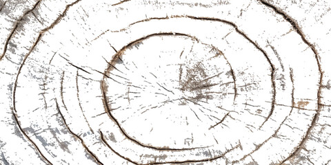 Wood grunge texture transparent white background. Abstract wood grunge distressed texture background.  vector weathered wooden plank board featuring natural textures and grooves, ideal for background.