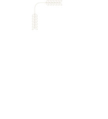 Monoline Ornamental Decorative Corner