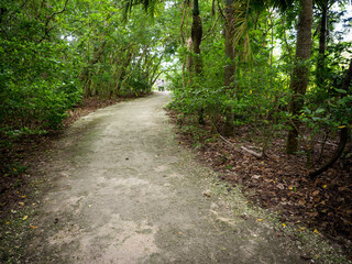 Obraz premium 由布島