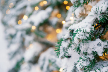 Snow-covered branches of a Christmas tree glow with festive lights outdoors