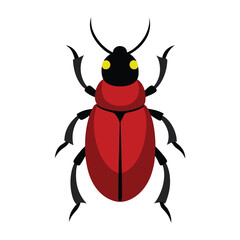 Glossy beetle with detailed body art Vector illustration