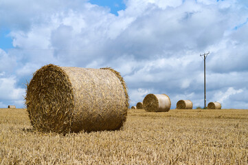 Large round hay bales sit on a golden field with a backdrop of fluffy clouds and a utility pole.