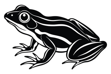 Elegant frog illustration showcases bold navy lines with distinctive red highlights adding dimension
