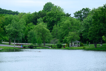 lake in the park