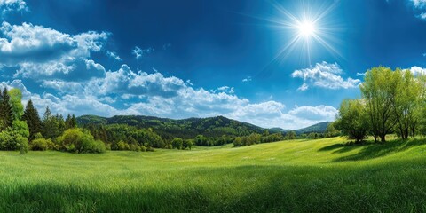 Lush green meadow under a vibrant blue sky