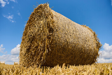 A large round straw bale stands out against a clear blue sky, showcasing a typical rural farming...