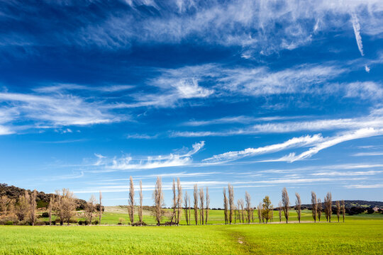 Riparian forest landscape in Montejaque, Andalusia on a sunny day