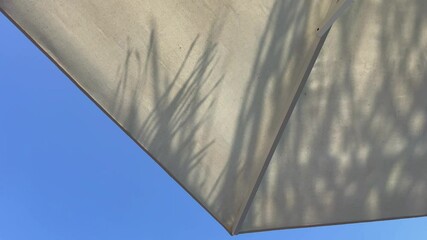 Shadow of a swaying palm tree cast on a beach umbrella in slow motion against a blue sky. Concept of tropical paradise, peaceful vacation moments, and relaxing under the sun in warm destinations