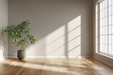 Empty room with plant and shadows