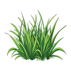 green grass isolated vector on white background
